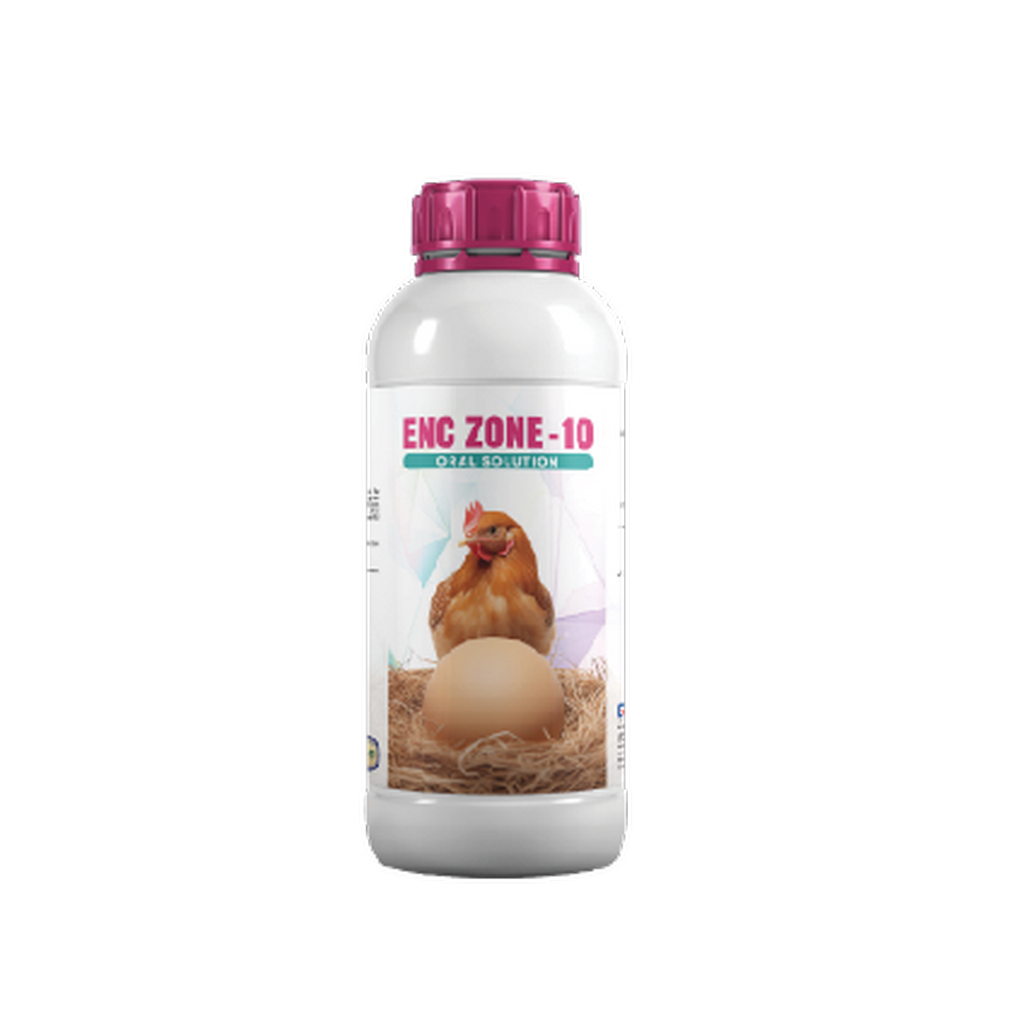 ENC ZONE-10
