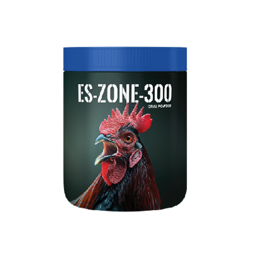 ES ZONE-300