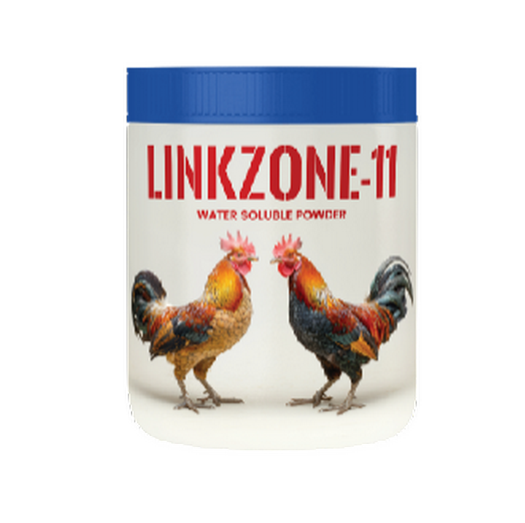 LINK ZONE-11