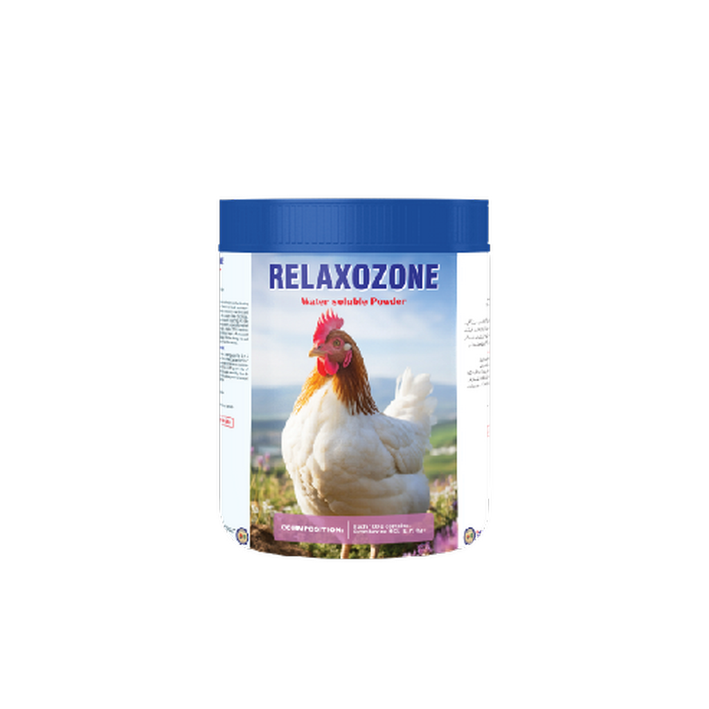 RELEXO ZONE